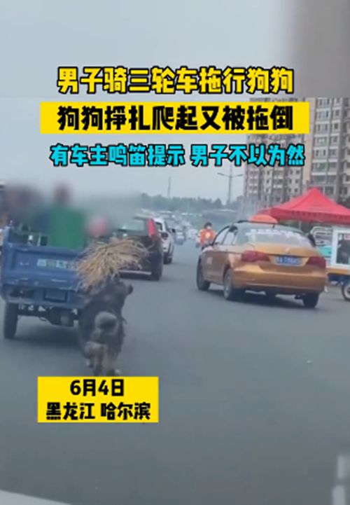 男子骑三轮车拖行狗狗，汪的身上被磨出了血：配当主人吗？休闲区蓝鸢梦想 - Www.slyday.coM