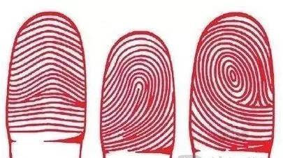 人类指纹的斗和簸箕暗藏什么玄机?是基因的诅咒?未来已被注定?