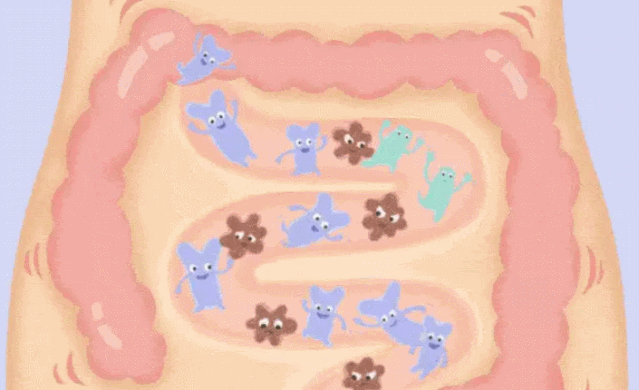 瑞倪维儿产品有依赖性吗 用户黏性和上瘾模型是什么