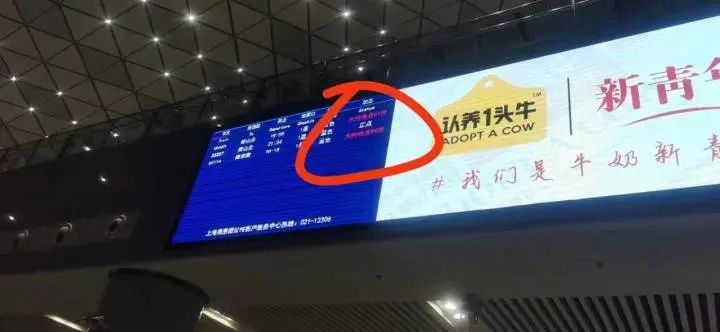 晚了近一小时才发车！昨晚途经杭州部分高铁列车晚点，回应来了休闲区蓝鸢梦想 - Www.slyday.coM