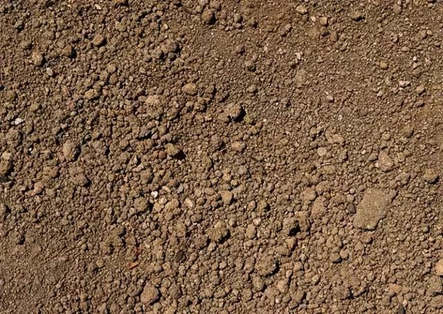 养花用土学问大,一篇文章教你识土,用土__财经头条