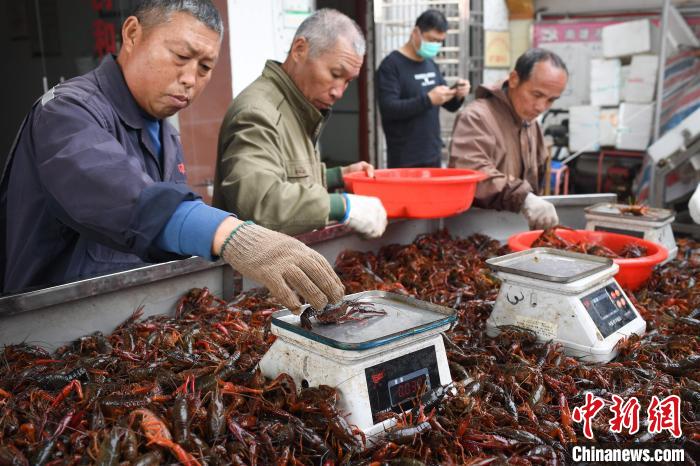 广东南雄稻虾共作烹出乡村振兴网红菜