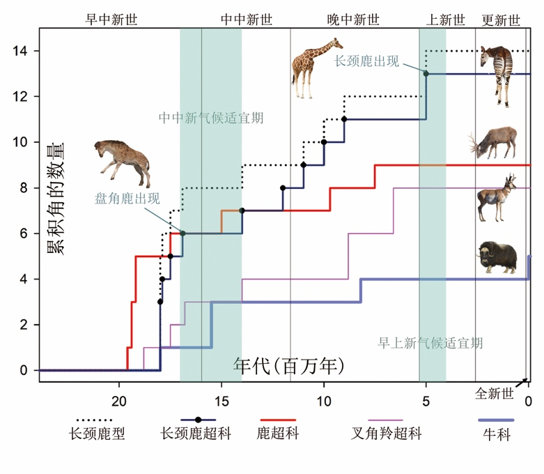 为了食还是性中国科学家揭开长颈鹿长脖子之谜