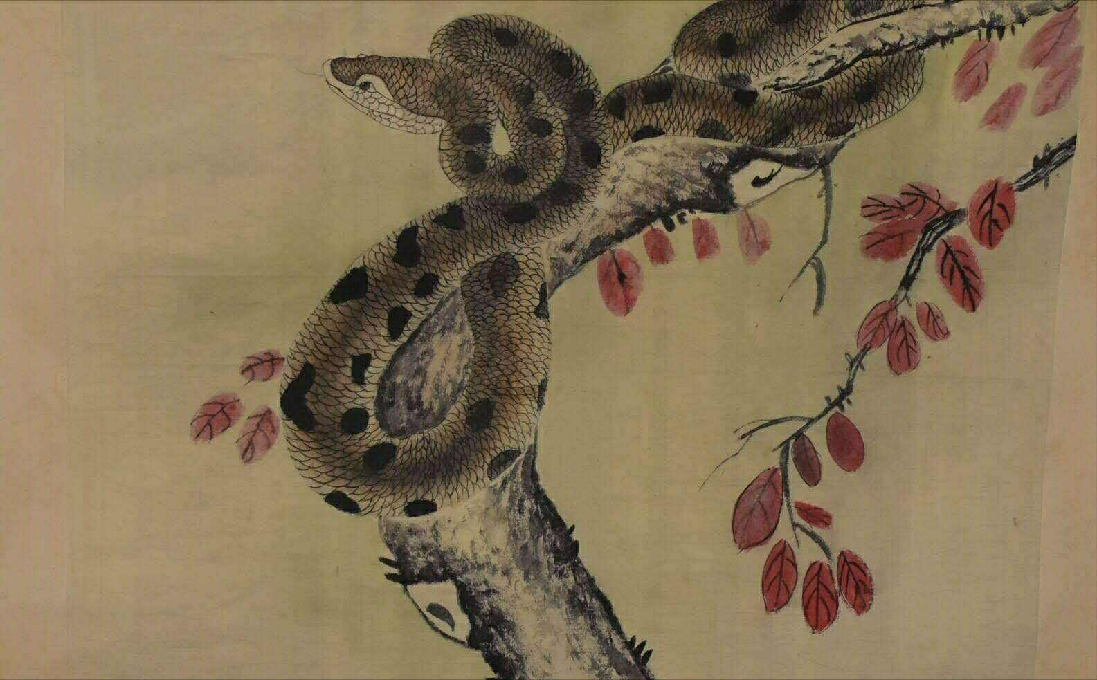 生肖蛇6月运势分析火水未济一切从缓