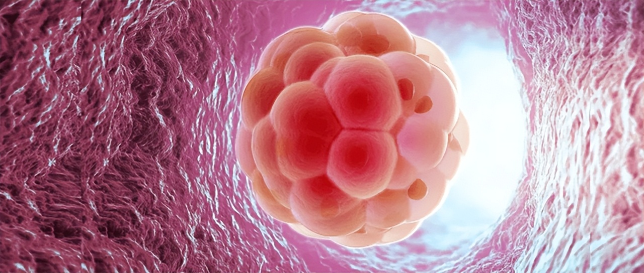 卵子质量过关的女性来月经前身体都会有几种感觉备孕更容易