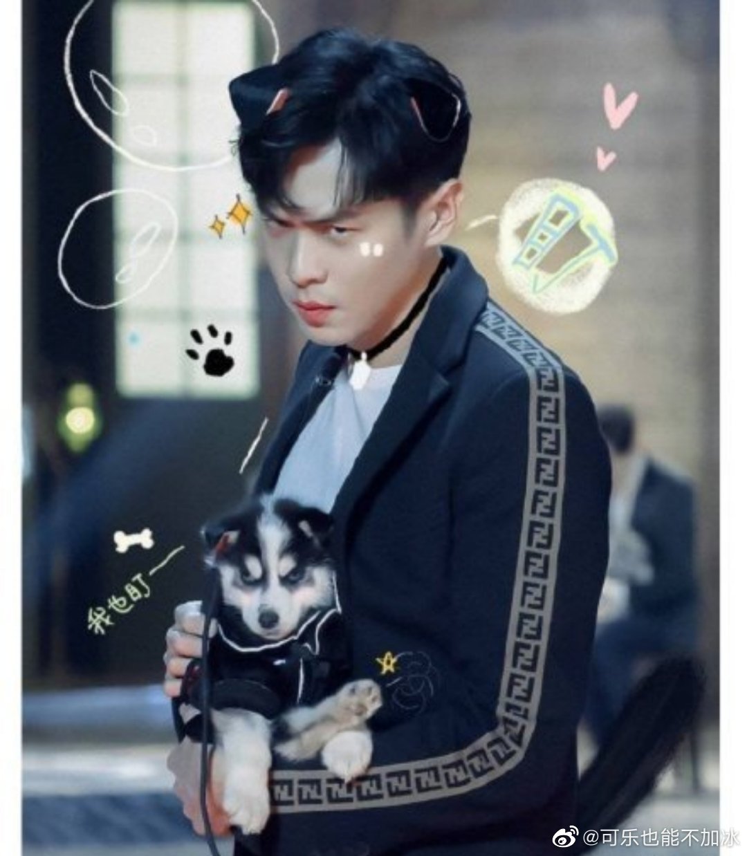但是张若昀真的很哈士奇啊|张若昀|哈士奇|狗_新浪新闻