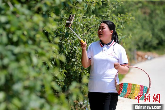 奋进新征程建功新时代老区新貌沂蒙老区新农人手机成农具直播是农活