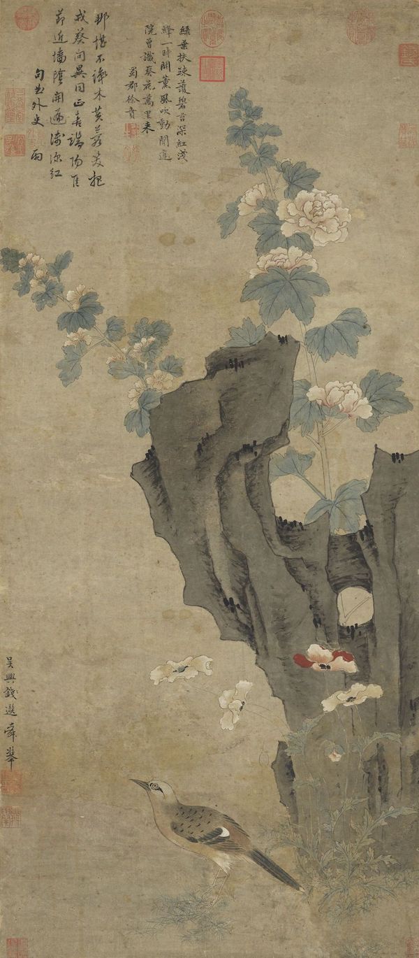 故宫花信|蜀葵:五尺栏杆遮不尽,尚留一半与人看