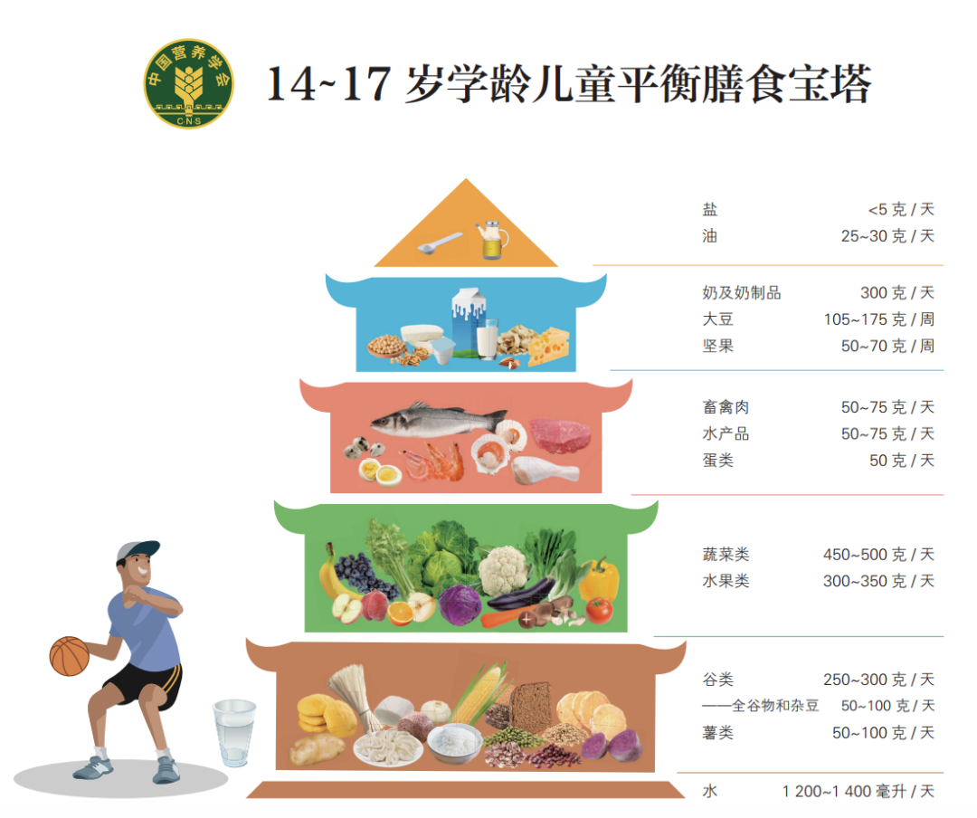 《中国学龄儿童膳食指南(2022)》正式发布,孩子吃饭的法则请收藏!