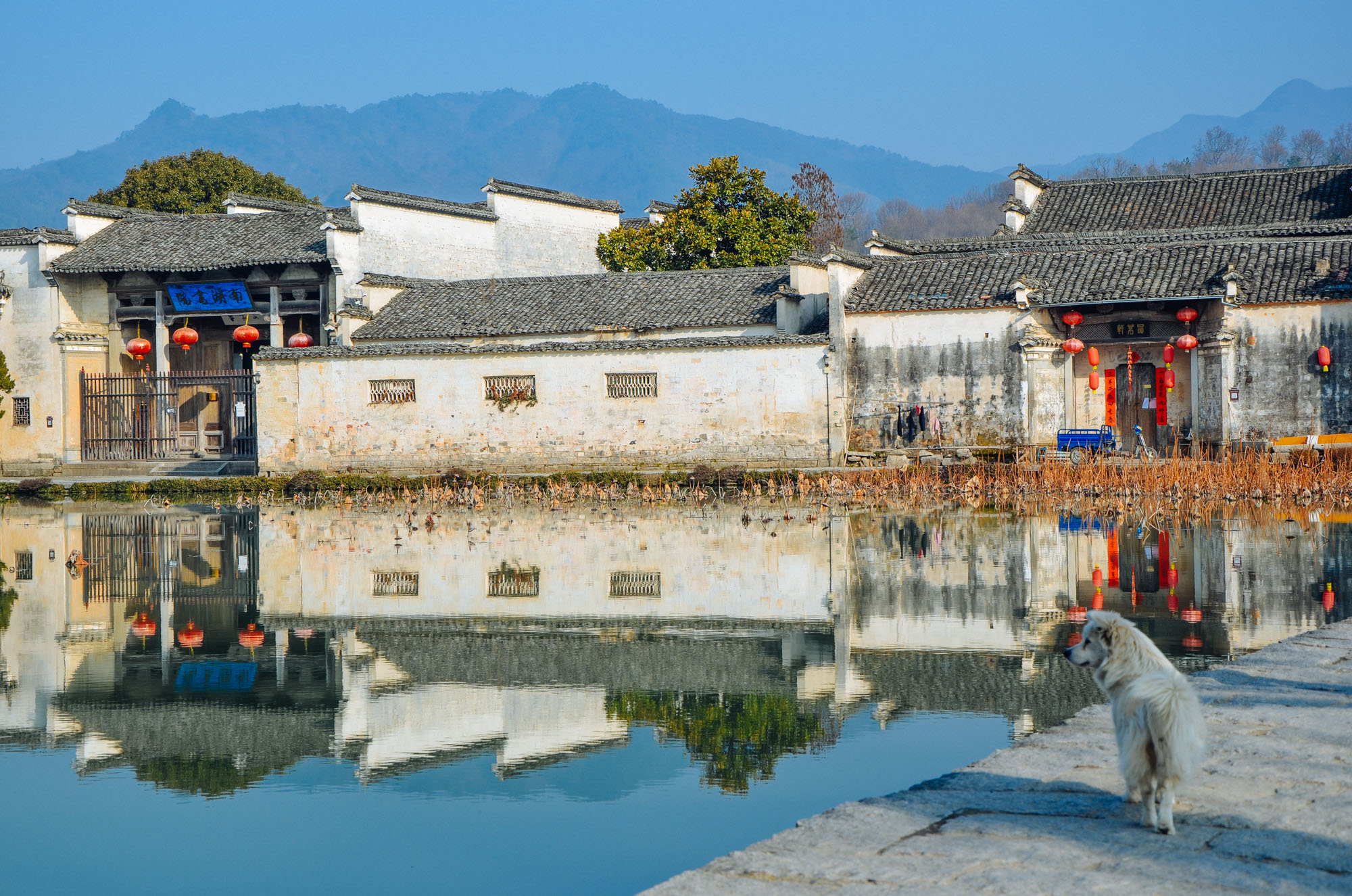 宏村旅游攻略一日游需要多少钱景点打卡:宏村南湖:最具标志性的景点之