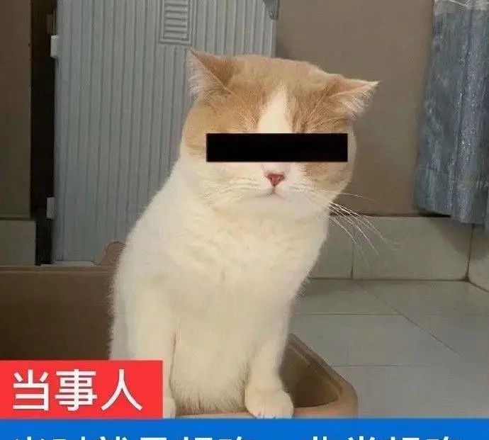 判断四川人吃火锅是不是真的吃杀割了，只有1个准则休闲区蓝鸢梦想 - Www.slyday.coM