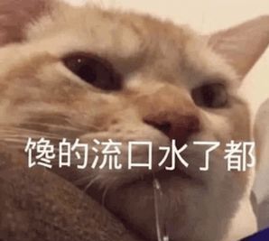 判断四川人吃火锅是不是真的吃杀割了，只有1个准则休闲区蓝鸢梦想 - Www.slyday.coM