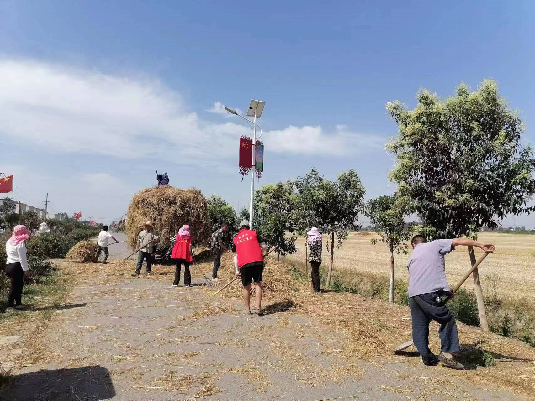 河南省正阳县兰青乡清运秸秆守护蓝天打造美丽乡村