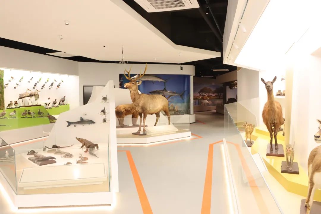 正在招生！由达利捐资10亿元基金兴建的这所学校太美了！休闲区蓝鸢梦想 - Www.slyday.coM