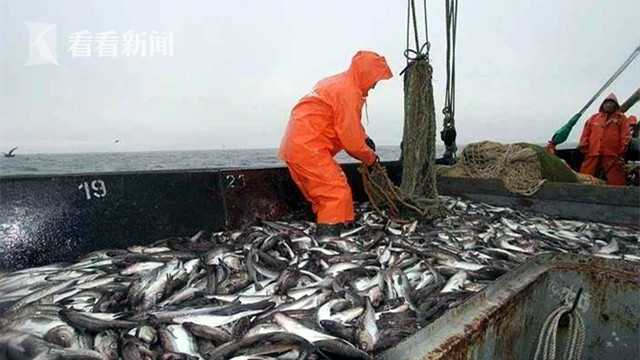 冻结俄财产后日本又撤回对俄邀请 普京反制来了休闲区蓝鸢梦想 - Www.slyday.coM