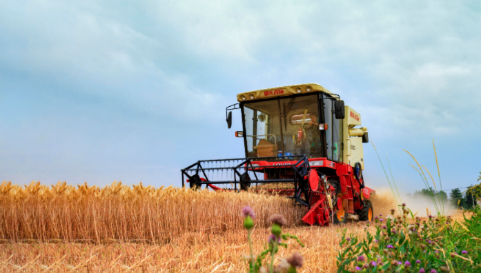 “粮价上涨+政策助推+景气上行，农业产业迎来发展机遇