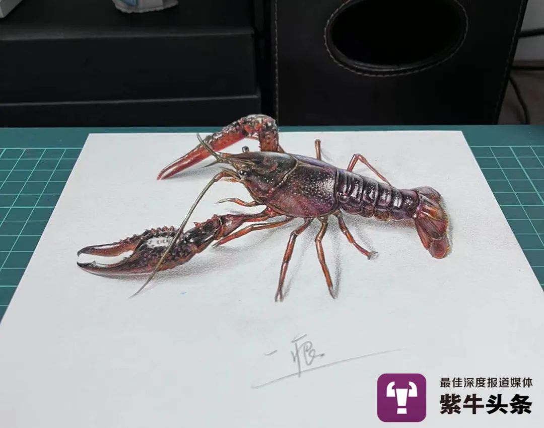 曹志画的立体小龙虾说起对3d立体画领域的探索,曹志说:"其实首先需要