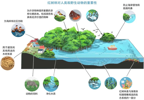 什么是海洋生态系统?__财经头条