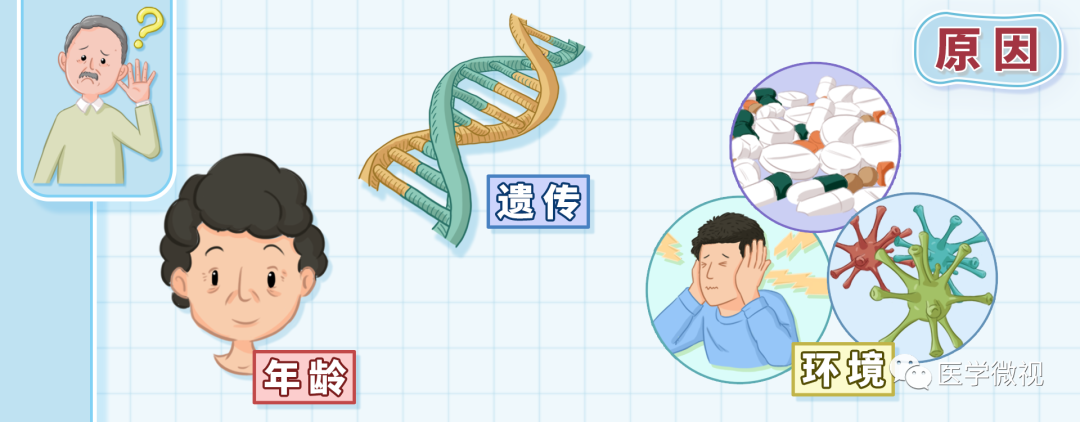 老年人耳背，还会增加老年痴呆的风险！