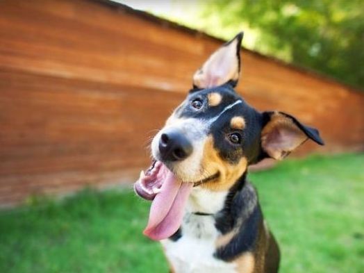 男子河边垂钓，发现水里有动静，看清后气愤不已！休闲区蓝鸢梦想 - Www.slyday.coM