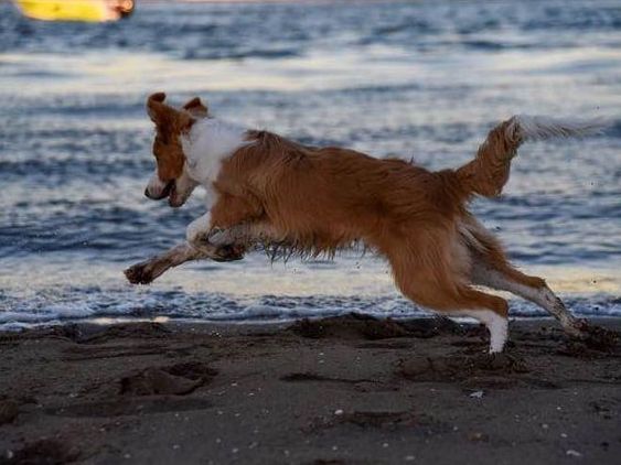 男子河边垂钓，发现水里有动静，看清后气愤不已！休闲区蓝鸢梦想 - Www.slyday.coM