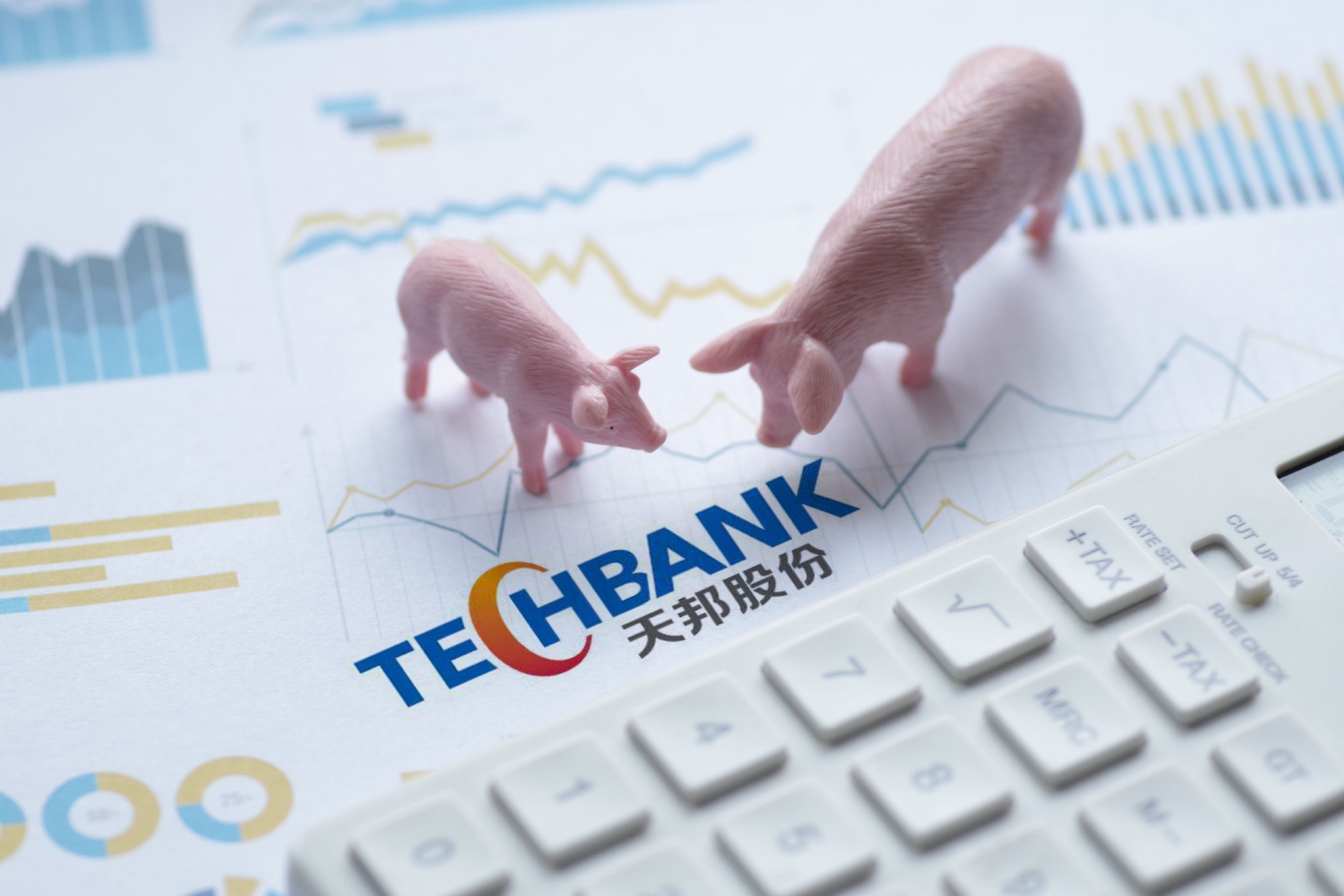 天邦股份负债率83仍募约28亿加码猪场近一年上市猪企密集融资