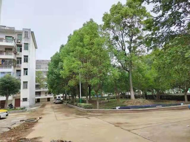 投入606万大悟县一中家属院将迎来大变样为教职工排忧