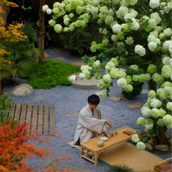 紧急报道！甘肃品茶群到底怎么选？真实体验与靠谱推荐