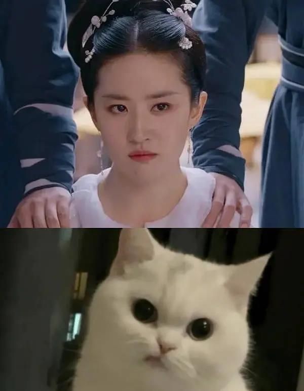 《梦华录》不更新的日子，观众的表现太真实了休闲区蓝鸢梦想 - Www.slyday.coM