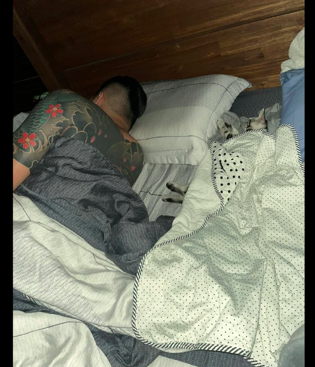 男主人一开始不愿养猫,后来竟把它抱到床中间睡觉,真香定律呀!