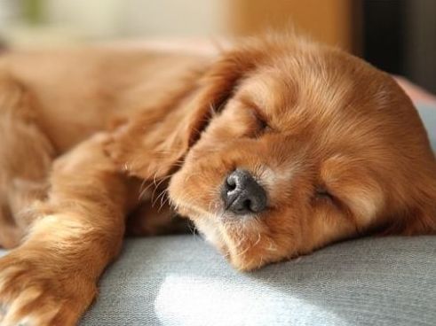 男子河边垂钓，发现水里有动静，看清后气愤不已！休闲区蓝鸢梦想 - Www.slyday.coM