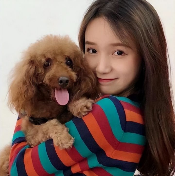 泰迪一生中有“几个愿望”，第一个就有很多主人做不到休闲区蓝鸢梦想 - Www.slyday.coM