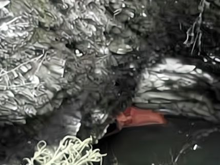 男子河边垂钓，发现水里有动静，看清后气愤不已！休闲区蓝鸢梦想 - Www.slyday.coM