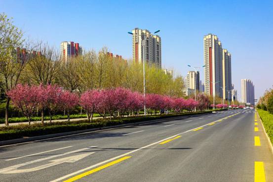 济南市槐荫区全面启动全国文明典范城市创建