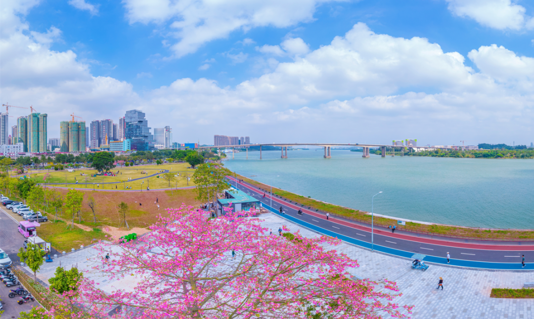 这样的江门,爱了!|江门市_新浪新闻