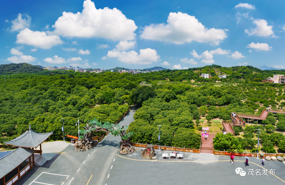 滴四大古荔园红荔阁龙眼阁你来打卡