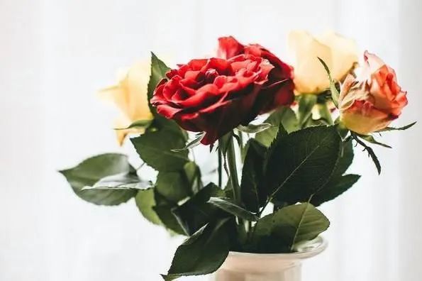 这三样，如果一个人到了中年还在炫耀，多半没什么本事休闲区蓝鸢梦想 - Www.slyday.coM