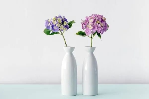 这三样，如果一个人到了中年还在炫耀，多半没什么本事休闲区蓝鸢梦想 - Www.slyday.coM