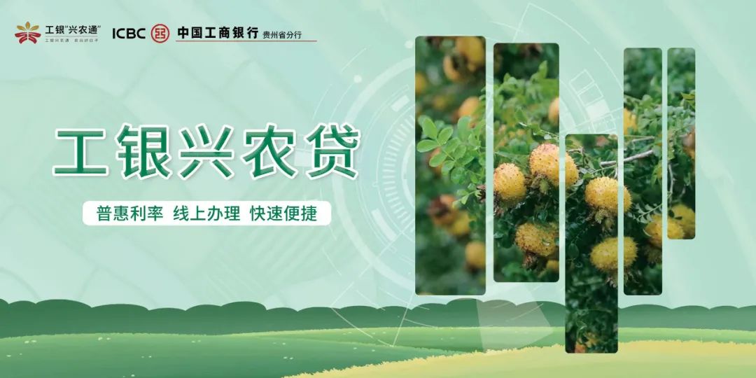 揪心！2岁男童与狗从自家院子走失，8天后狗独自回家…家长悬赏10万寻人！休闲区蓝鸢梦想 - Www.slyday.coM
