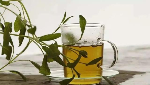 台州女子学院后街喝茶的故事和茶文化探秘