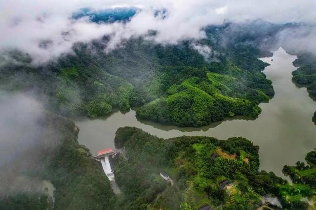 大田坑口库泄洪!巨大水流奔涌而出,震撼|泄洪|水库|降雨_新浪新闻