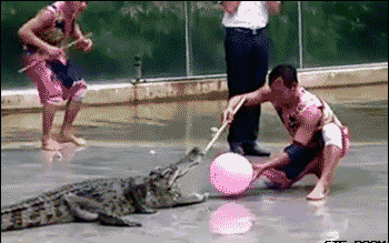 防止被你“拿捏”