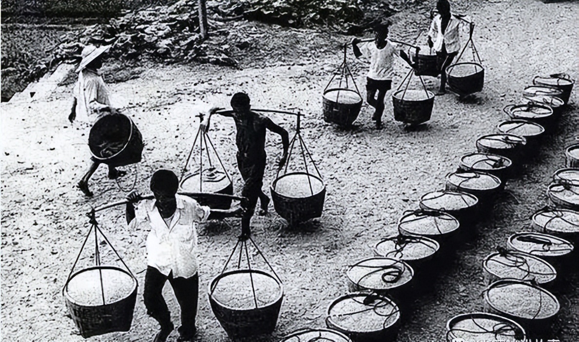 一组老照片带你了解交公粮的场景父辈们终生难忘的记忆