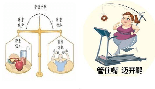 大吃一顿后，第二天会长胖吗？如果不会，为什么体重会长2斤？休闲区蓝鸢梦想 - Www.slyday.coM