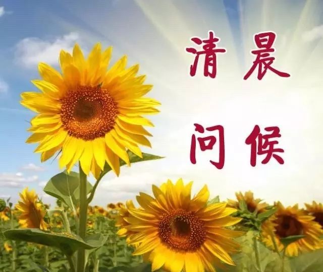 发朋友圈人人点赞的早安唯美说说语录,美好的一天开始! - 诗词名句网