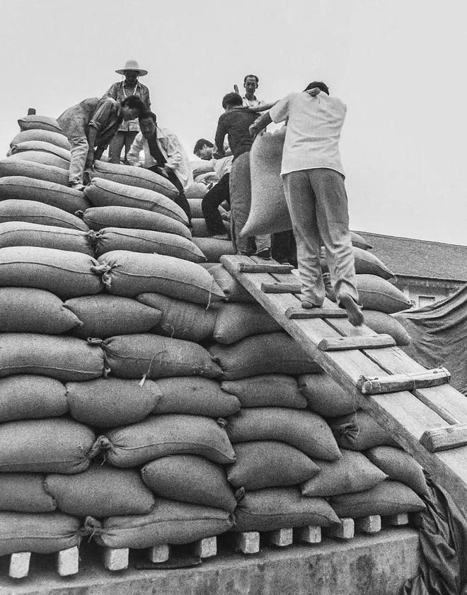 一组老照片带你了解交公粮的场景父辈们终生难忘的记忆