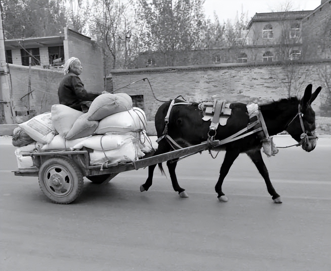 一组老照片带你了解交公粮的场景父辈们终生难忘的记忆