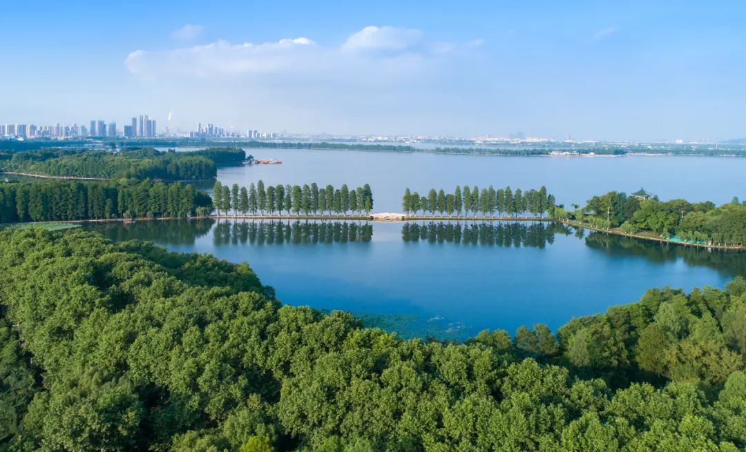 好消息!武汉获得这项国际最高荣誉!|湿地_新浪财经_新浪网