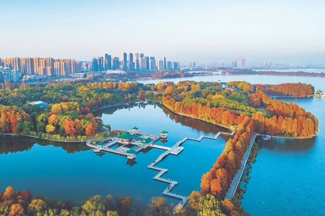 我国这一数据,世界第一!|湿地保护_新浪科技_新浪网