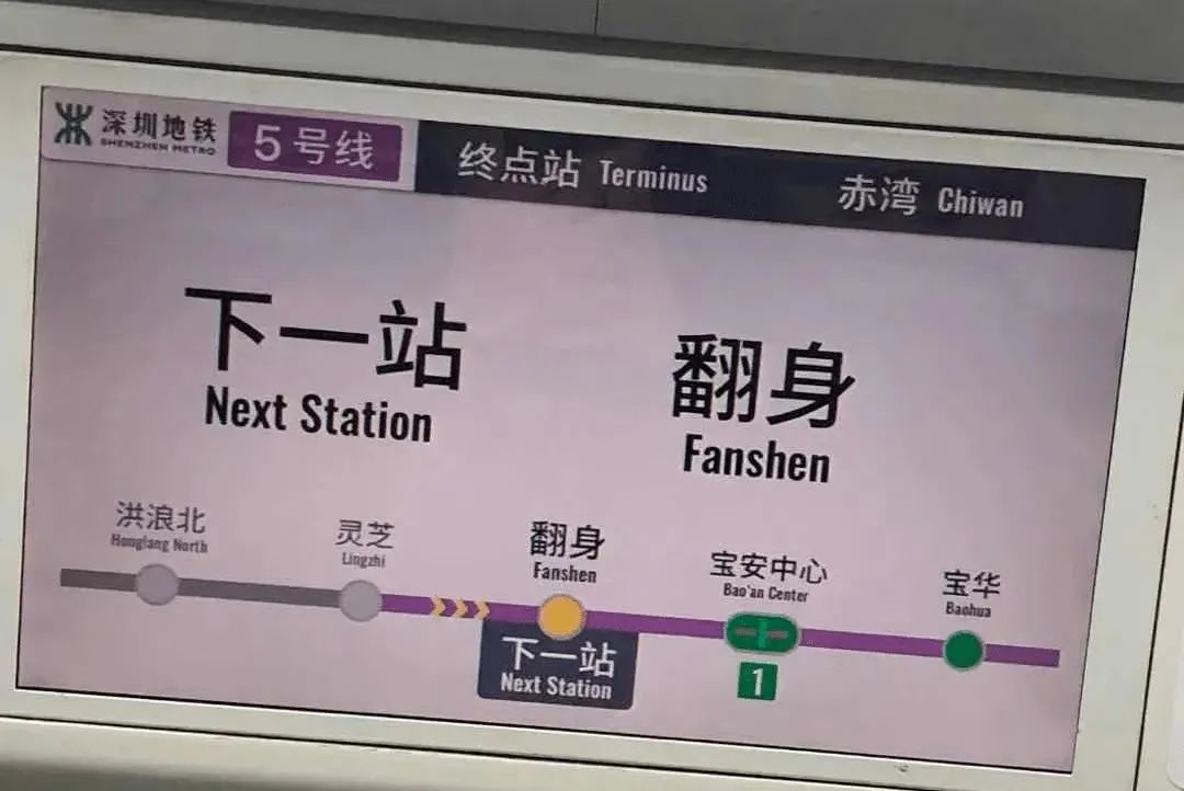 1800万深圳人每天都在翻身